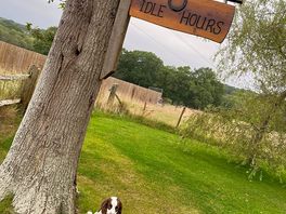 Milo also enjoyed his stay