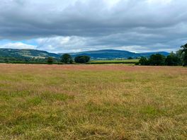 View from the site