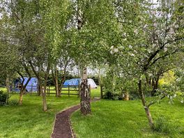 Campsite viewed from the toilet and shower facilities.