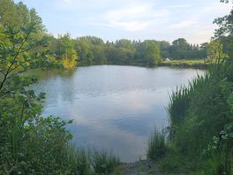 Niece lake