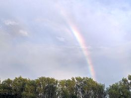 Rainbow at jessamine farm campsite