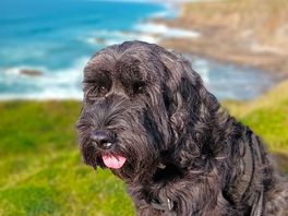 Coast path walk from campsite.