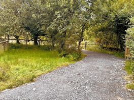 Woodland path