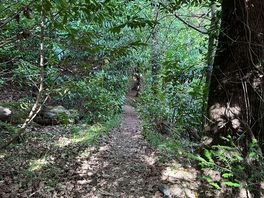Woodland walk 🚶🏼♀️ on site