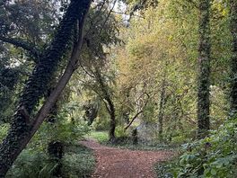 A short forest walk to the quiet pitches.