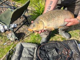 And another common