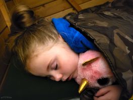 Cosy sleep