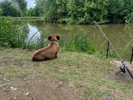 Lovely around lakes