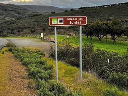 Ruta