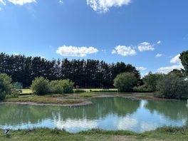 Pretty lake and grass area