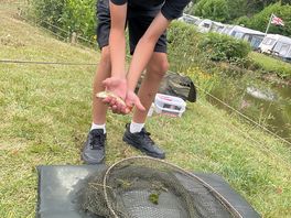 Little man loved catching the little ones