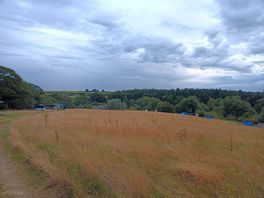 The site