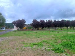 Uncared for campground