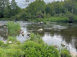 River running along site