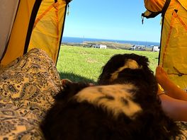 First morning