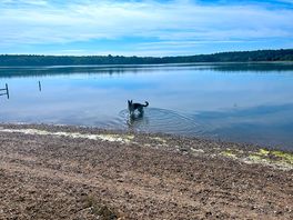 Access to the water