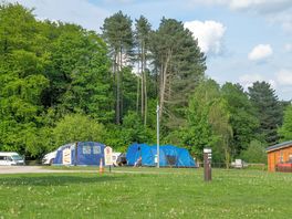 Grass pitches with electric hook up