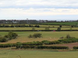 Looking towards the campsite in the distance.