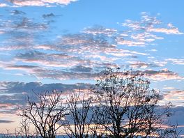 Amazing skies