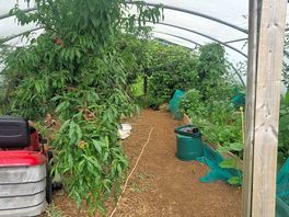Polytunnels