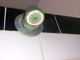 Douche kop