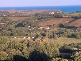 Local view