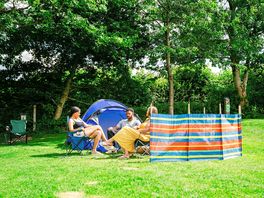 Electric Grass Pitch Family