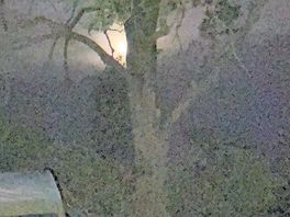 Great pic of moon