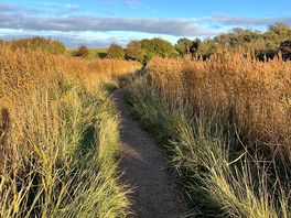 Walk from campsite