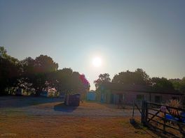 Early morning view