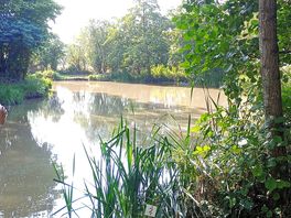 Lakeside