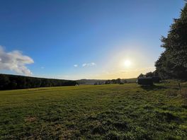 Lovely and sunny
