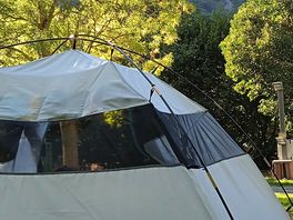 Our site