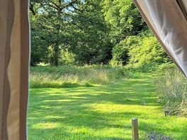 View from the tent