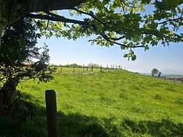 Surrounding views