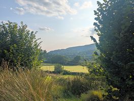 View from our site towards the mountain