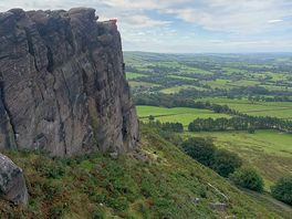 The roaches