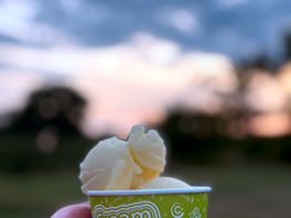 Homemade apple sorbet