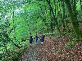 Gorgeous woods to play in