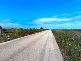 Endless