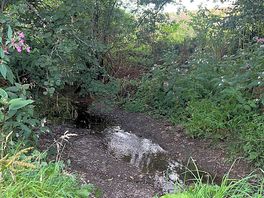 Lovely to sleep with the sound of the stream