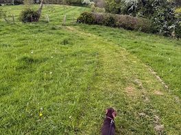 Walking in the fields