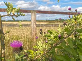 Freedom farm