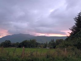 View from top field