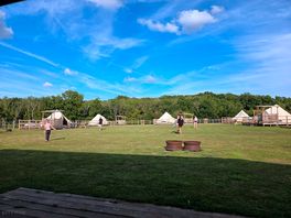 Sunny yurts