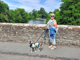 On ludlow bridge over river wye.