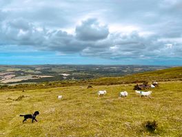 Beautiful mountain walk from newport 30 mins drive