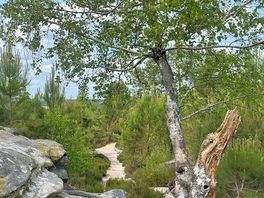 Just a short drive from the site on the 25 bosses walk