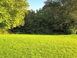 Near campsite