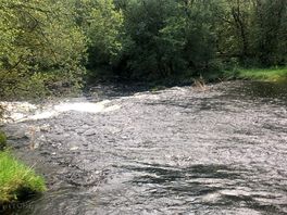 Nearby river